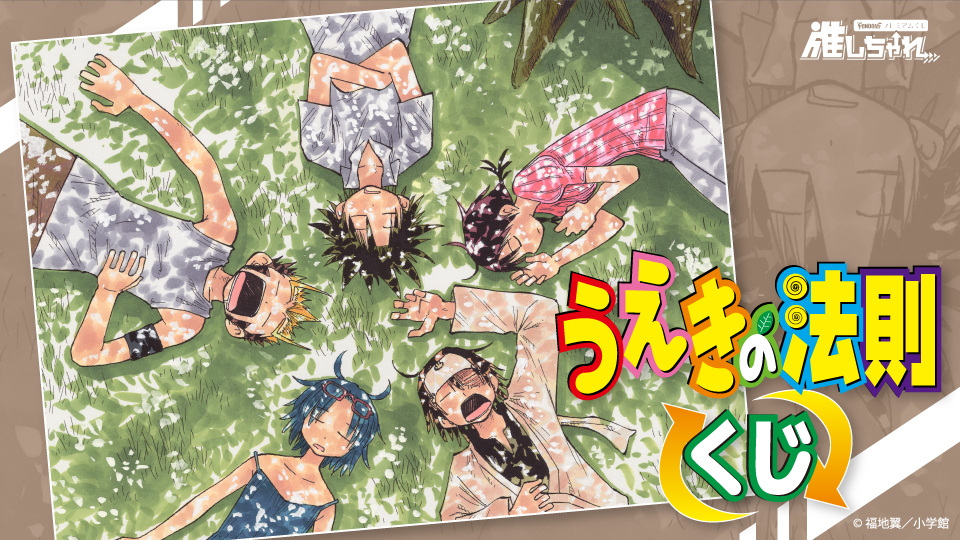 うえきの法則 くじ