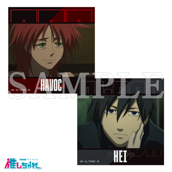 E12/ステッカー2枚セット ハヴォック&黒